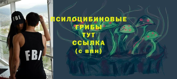 спайс Козловка