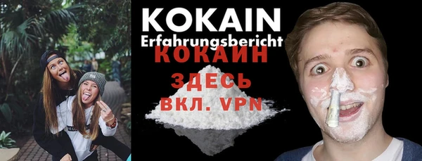 сатива Козельск