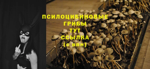 спайс Козловка