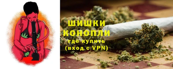 сатива Козельск