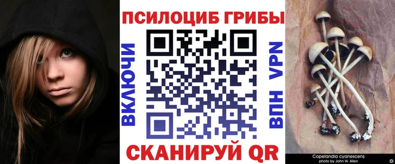 Купить  Обоянь  Галлюциногенные грибы прущие грибы 